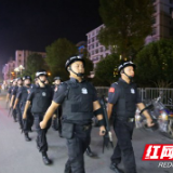 打掉七个涉恶犯罪团伙 永顺公安多措并举推进扫黑除恶