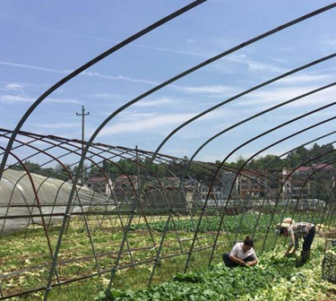 北塔区精准发力  找准产业扶贫“支点”