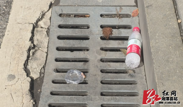 Still041906.jpg Still041906.jpg