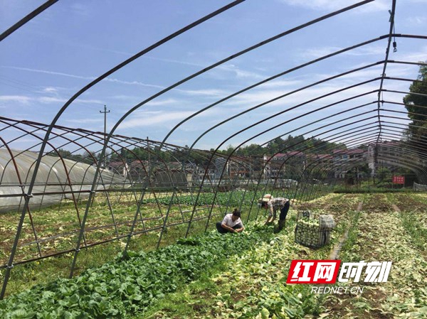 b17b1d16-a042-480c-a5a7-a4003380dd65.jpg b17b1d16-a042-480c-a5a7-a4003380dd65.jpg