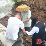双牌：多举措应对连续强降雨天气