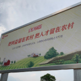 探索中国农业新路径 拼多多五年打造1000个“多多农园”