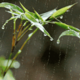 雨水霸占湖南天气舞台 湘中以南雨势较强