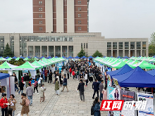 中介服务平均薪酬最高 长沙2019年春季白领供求情况发布