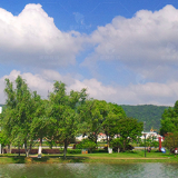 不带地球去流浪 长沙人民选择做一些让世界更美丽的事