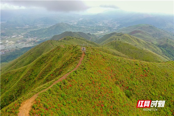 蒋克青 唐伯靖)4月20日,雨后的道县梅花镇宜山森林公园云雾缥缈,漫天