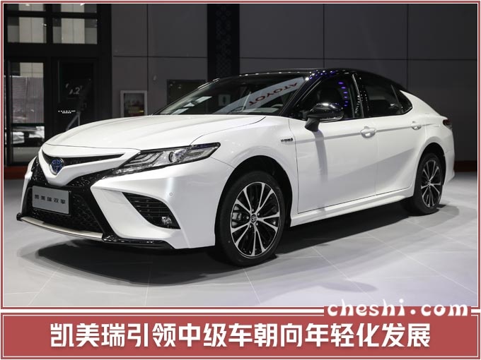 电动化+TNGA架构齐发力 丰田在华加码精品车战略-图3