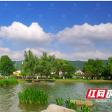  社区党员志愿服务常态化 为区域化党建添活力
