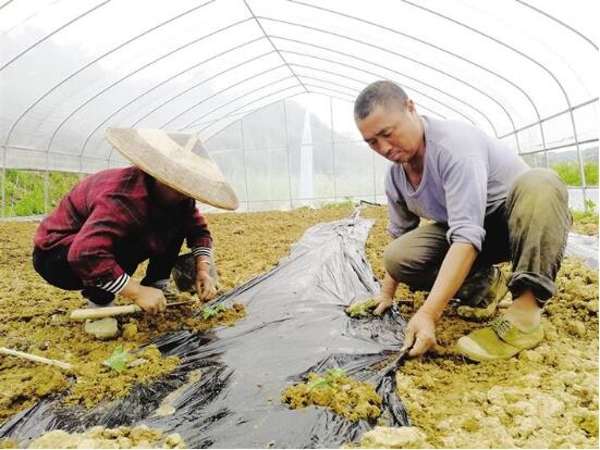 QQ截图20190423084756.jpg QQ截图20190423084756.jpg