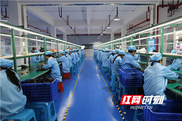 湖南斯凯莱科技有限公司车间_副本_副本.jpg