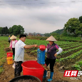 户帮户 亲帮亲丨江华：脱贫致富不忘邻里乡亲