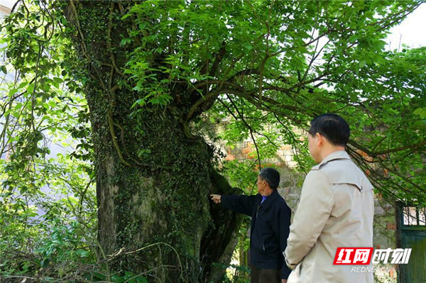 ????_20190424164220_??1.jpg ????_20190424164220_??1.jpg