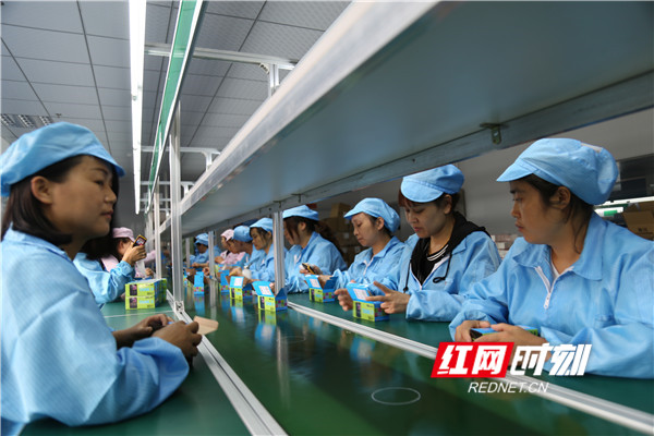 湖南沃世达智能科技有限公司车间_副本_副本.jpg