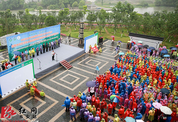 “上善紫水， 德润东安”中国（东安）首届紫水湿地文化节拉开帷幕