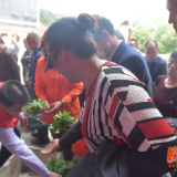 金洞：永州职业技术学院送菜苗助力脱贫致富