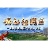 《崛起的园区》——减环节优服务  园区营商环境一键提速