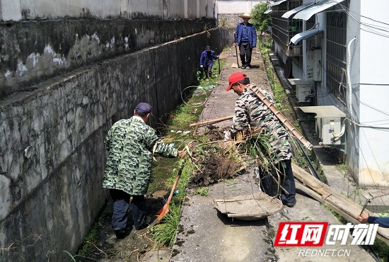 张家界：创建优美环境  共促卫生健康
