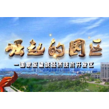 《崛起的园区》——望城高新区百亿级医药产业板块雏形初现