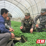 张青勇到湘西军分区扶贫联系村走访调研