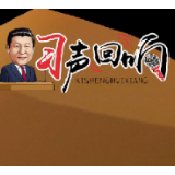 习声回响｜习近平谈“一带一路”：从“大写意”到“工笔画”