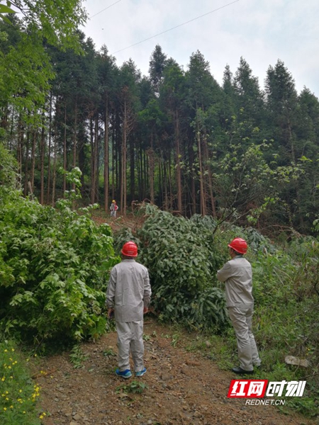 会上，机关支部书记介绍了“联学联创”活动方案和实施背景后，双方签订了“联学联创”活动意向书