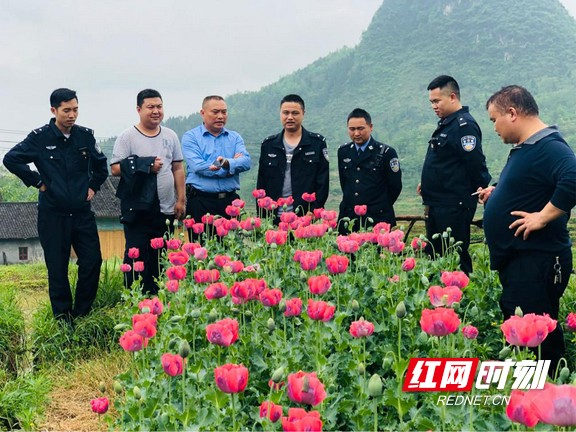 ??13.marked.jpg ??13.marked.jpg