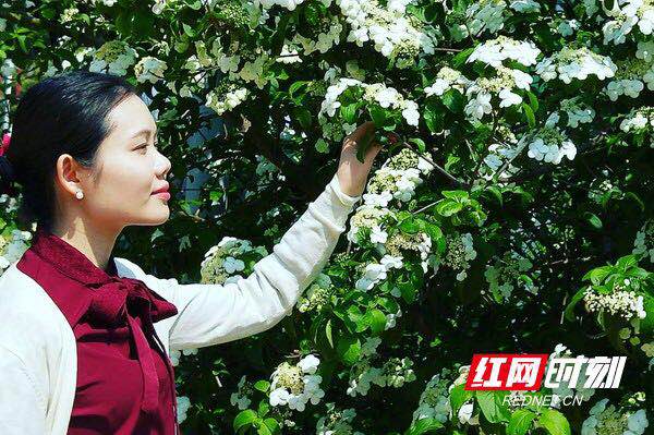微信图片_20190425222553.jpg