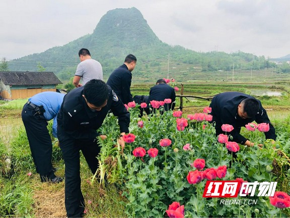 ??14.marked.jpg ??14.marked.jpg