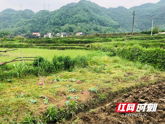 ??15.marked.jpg ??15.marked.jpg