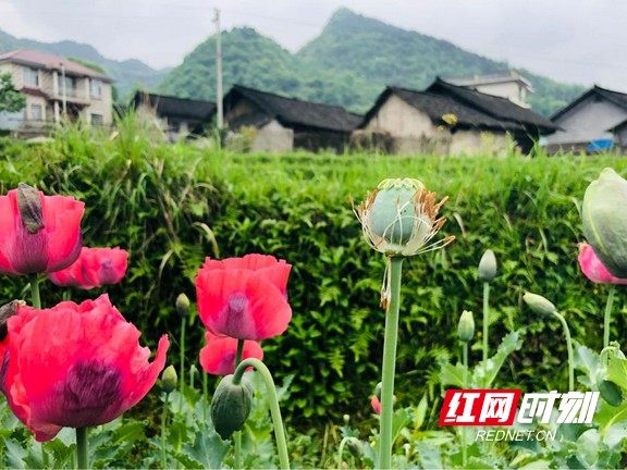 ??12.marked.jpg ??12.marked.jpg