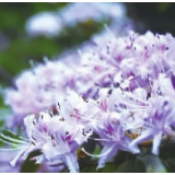 长沙一起嗨 各公园景点活动提前看