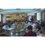 市健康扶贫领导小组督导华容第一季度健康扶贫工作