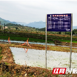 道县：及时更换31块地质灾害“警示牌”