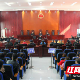 马仔打架斗殴致人重伤 “老大”包庇窝藏被一网打尽