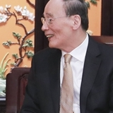 王岐山会见阿联酋副总统兼总理、迪拜酋长穆罕默德