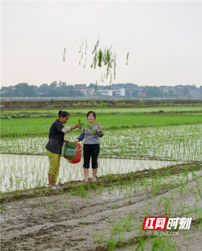 577d0b0c-cc18-436b-9eda-5ffc682903b4_??1.jpg 577d0b0c-cc18-436b-9eda-5ffc682903b4_??1.jpg