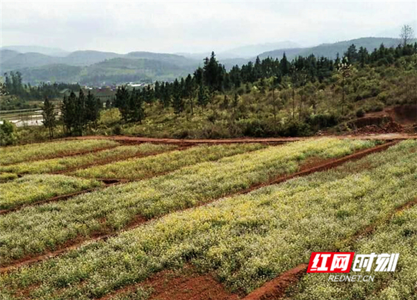 QQ??20190426092020_??_??.jpg QQ??20190426092020_??_??.jpg