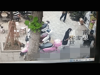 IMG_0724.gif
