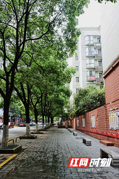 440044D7-390A-46B9-A194-5C045B6C2C00副本.jpg