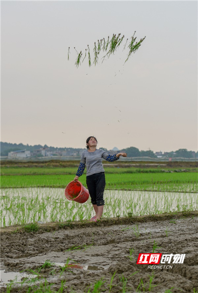 d4b2da50-06fc-44e8-aaab-3b0eb3d701e8_??.jpg d4b2da50-06fc-44e8-aaab-3b0eb3d701e8_??.jpg