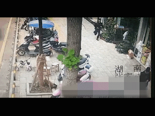 IMG_0725.gif