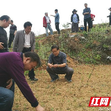 湘西州扶贫办离退休老干部助力贫困村脱贫攻坚工作