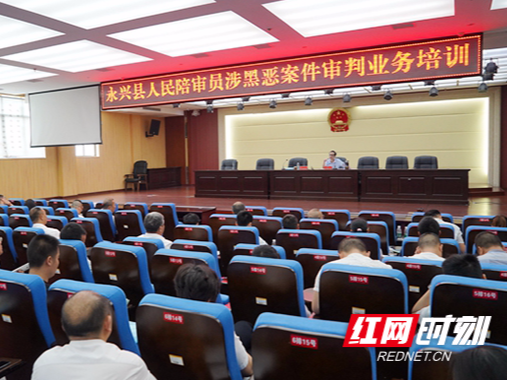 永兴县116名新任人民陪审员宣誓就职