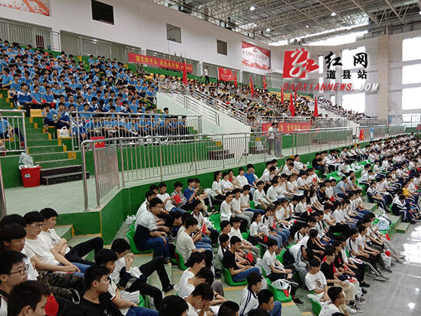 学生认真听课.gif