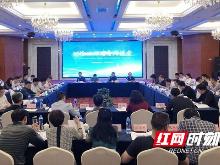 湖南省自然资源厅安排部署2019年测绘地理信息工作