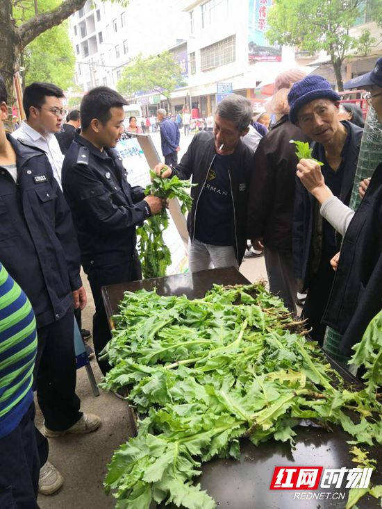 【桑植警事】桑植县龙潭坪镇发现特殊 “青菜”