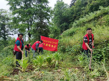 凤凰县委政法委党员志愿者深入扶贫村开展文明实践活动