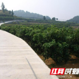 凤凰菖蒲塘村:“产业活 环境美 幸福长”