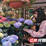 社区当免费“红娘” 助力大学生毕业季里就业突围