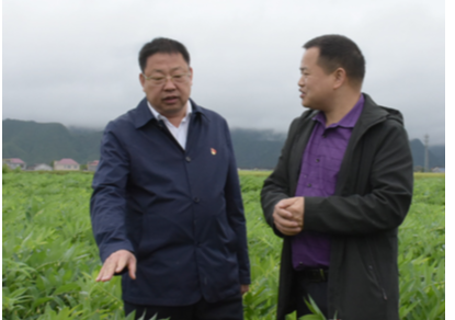 让中药材产业成为群众致富的“摇钱树”——蒙汉调研中药材产业发展